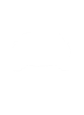 https://s3.us-west-1.wasabisys.com/ecart-content/cargeektees.com/overlays/286/643/28664368.png img