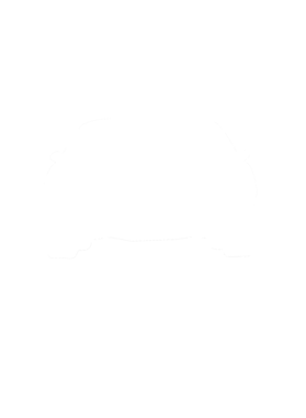https://s3.us-west-1.wasabisys.com/ecart-content/cargeektees.com/overlays/286/643/28664369.png img