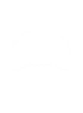 https://s3.us-west-1.wasabisys.com/ecart-content/cargeektees.com/overlays/286/643/28664372.png img