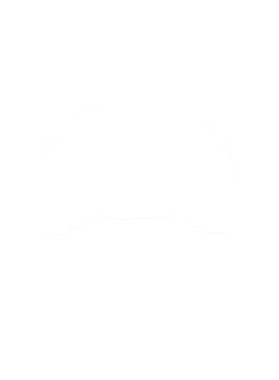 https://s3.us-west-1.wasabisys.com/ecart-content/cargeektees.com/overlays/286/643/28664373.png img