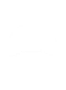 https://s3.us-west-1.wasabisys.com/ecart-content/cargeektees.com/overlays/286/643/28664375.png img