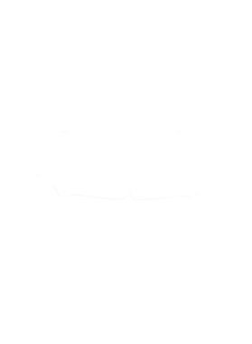 https://s3.us-west-1.wasabisys.com/ecart-content/cargeektees.com/overlays/286/644/28664477.png img