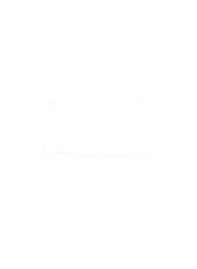 https://s3.us-west-1.wasabisys.com/ecart-content/cargeektees.com/overlays/286/644/28664479.png img