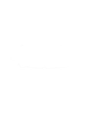 https://s3.us-west-1.wasabisys.com/ecart-content/cargeektees.com/overlays/286/644/28664480.png img