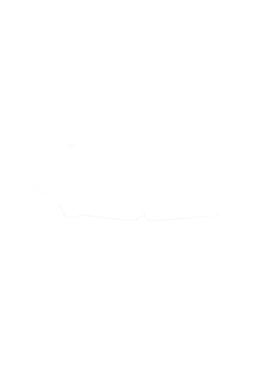 https://s3.us-west-1.wasabisys.com/ecart-content/cargeektees.com/overlays/286/645/28664508.png img