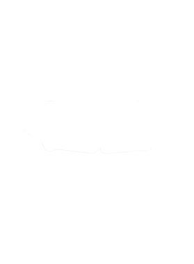 https://s3.us-west-1.wasabisys.com/ecart-content/cargeektees.com/overlays/286/645/28664509.png img