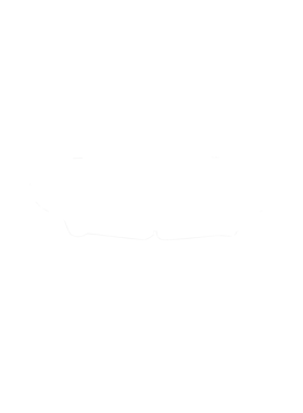 https://s3.us-west-1.wasabisys.com/ecart-content/cargeektees.com/overlays/286/645/28664512.png img
