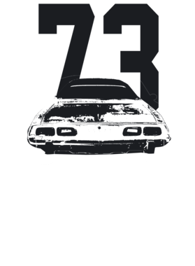 https://s3.us-west-1.wasabisys.com/ecart-content/cargeektees.com/overlays/286/646/28664600.png img