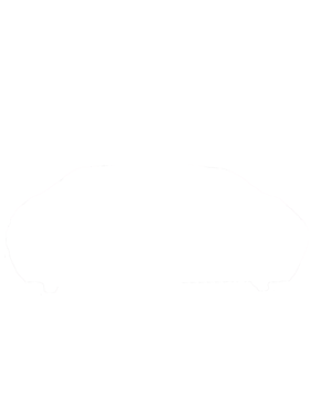 https://s3.us-west-1.wasabisys.com/ecart-content/cargeektees.com/overlays/288/506/2885065.png img
