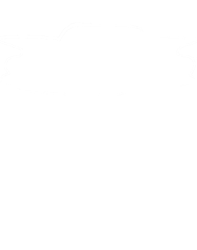 https://s3.us-west-1.wasabisys.com/ecart-content/cargeektees.com/overlays/289/816/2898162.png img
