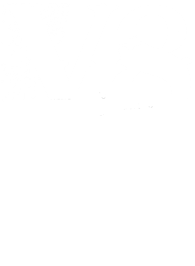 https://s3.us-west-1.wasabisys.com/ecart-content/cargeektees.com/overlays/296/254/2962540.png img