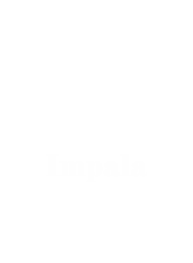 https://s3.us-west-1.wasabisys.com/ecart-content/cargeektees.com/overlays/304/988/30498811.png img