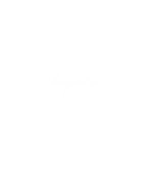 https://s3.us-west-1.wasabisys.com/ecart-content/cargeektees.com/overlays/305/810/30581061.png img