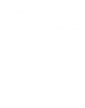 https://s3.us-west-1.wasabisys.com/ecart-content/cargeektees.com/overlays/308/004/30800478.png img