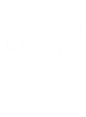 https://s3.us-west-1.wasabisys.com/ecart-content/cargeektees.com/overlays/311/438/31143842.png img