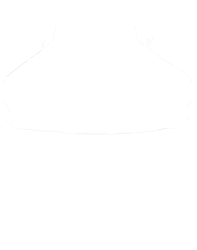 https://s3.us-west-1.wasabisys.com/ecart-content/cargeektees.com/overlays/325/373/3253734.png img