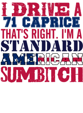 https://s3.us-west-1.wasabisys.com/ecart-content/cargeektees.com/overlays/331/101/3311012.png img