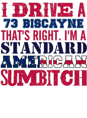 https://s3.us-west-1.wasabisys.com/ecart-content/cargeektees.com/overlays/331/131/3311318.png img