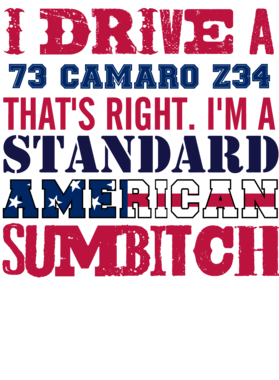 https://s3.us-west-1.wasabisys.com/ecart-content/cargeektees.com/overlays/331/132/3311321.png img