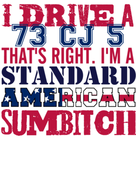 https://s3.us-west-1.wasabisys.com/ecart-content/cargeektees.com/overlays/331/134/3311349.png img