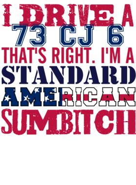 https://s3.us-west-1.wasabisys.com/ecart-content/cargeektees.com/overlays/331/135/3311350.png img