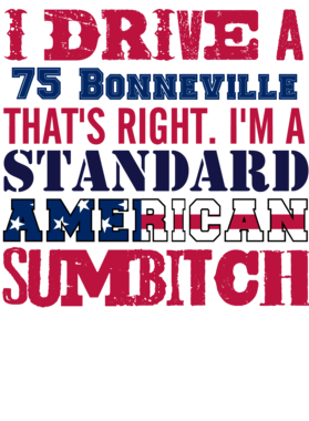 https://s3.us-west-1.wasabisys.com/ecart-content/cargeektees.com/overlays/331/170/3311705.png img