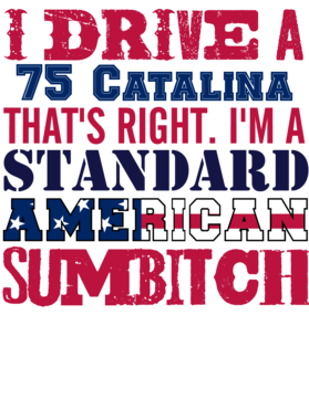 https://s3.us-west-1.wasabisys.com/ecart-content/cargeektees.com/overlays/331/170/3311706.png img