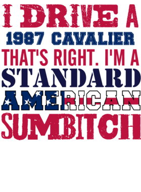 https://s3.us-west-1.wasabisys.com/ecart-content/cargeektees.com/overlays/331/471/3314715.png img