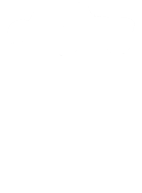 https://s3.us-west-1.wasabisys.com/ecart-content/cargeektees.com/overlays/344/075/34407584.png img