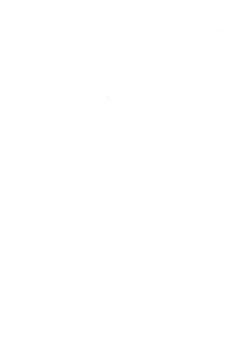 https://s3.us-west-1.wasabisys.com/ecart-content/cargeektees.com/overlays/344/075/34407586.png img