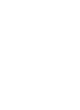 https://s3.us-west-1.wasabisys.com/ecart-content/cargeektees.com/overlays/346/649/34664935.png img