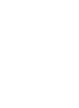 https://s3.us-west-1.wasabisys.com/ecart-content/cargeektees.com/overlays/346/886/34688626.png img