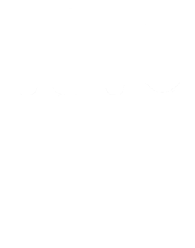 https://s3.us-west-1.wasabisys.com/ecart-content/cargeektees.com/overlays/349/015/3490156.png img