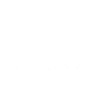 https://s3.us-west-1.wasabisys.com/ecart-content/cargeektees.com/overlays/349/015/3490158.png img