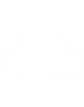 https://s3.us-west-1.wasabisys.com/ecart-content/cargeektees.com/overlays/349/016/3490166.png img