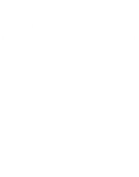 https://s3.us-west-1.wasabisys.com/ecart-content/cargeektees.com/overlays/349/030/3490303.png img