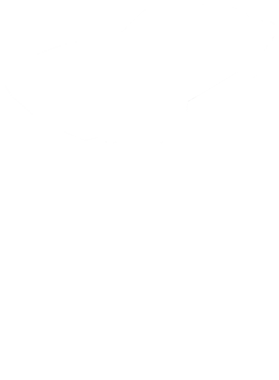 https://s3.us-west-1.wasabisys.com/ecart-content/cargeektees.com/overlays/350/133/35013340.png img