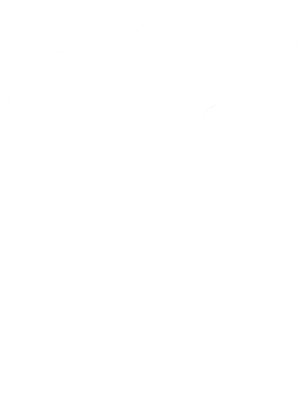 https://s3.us-west-1.wasabisys.com/ecart-content/cargeektees.com/overlays/350/133/35013343.png img