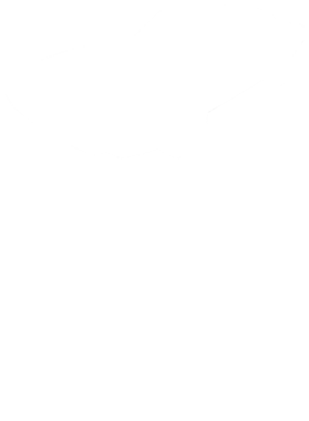https://s3.us-west-1.wasabisys.com/ecart-content/cargeektees.com/overlays/350/133/35013345.png img