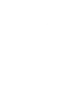 https://s3.us-west-1.wasabisys.com/ecart-content/cargeektees.com/overlays/350/133/35013347.png img