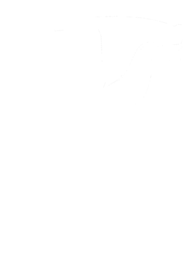 https://s3.us-west-1.wasabisys.com/ecart-content/cargeektees.com/overlays/351/406/35140618.png img