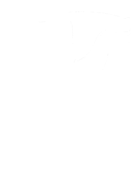 https://s3.us-west-1.wasabisys.com/ecart-content/cargeektees.com/overlays/351/406/35140630.png img