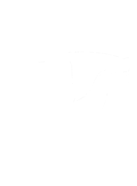 https://s3.us-west-1.wasabisys.com/ecart-content/cargeektees.com/overlays/351/406/35140647.png img