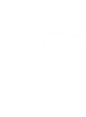https://s3.us-west-1.wasabisys.com/ecart-content/cargeektees.com/overlays/351/406/35140660.png img