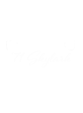 https://s3.us-west-1.wasabisys.com/ecart-content/cargeektees.com/overlays/351/864/35186400.png img