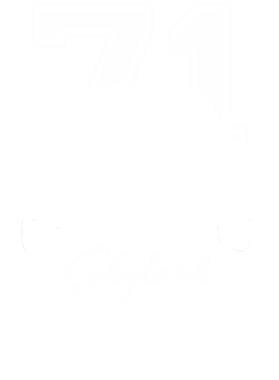 https://s3.us-west-1.wasabisys.com/ecart-content/cargeektees.com/overlays/351/864/35186404.png img