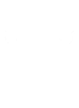 https://s3.us-west-1.wasabisys.com/ecart-content/cargeektees.com/overlays/353/101/35310152.png img
