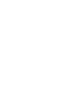 https://s3.us-west-1.wasabisys.com/ecart-content/cargeektees.com/overlays/353/101/35310156.png img