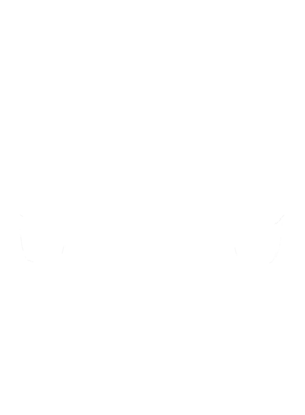 https://s3.us-west-1.wasabisys.com/ecart-content/cargeektees.com/overlays/353/101/35310158.png img