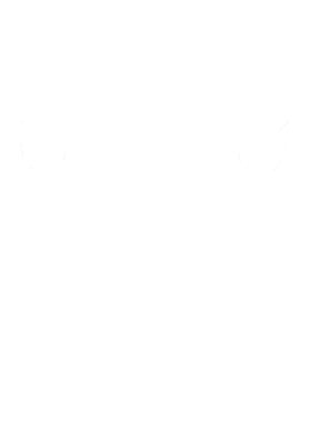 https://s3.us-west-1.wasabisys.com/ecart-content/cargeektees.com/overlays/353/101/35310160.png img